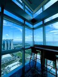 Marina Boulevard (D1), Condominium #463880251